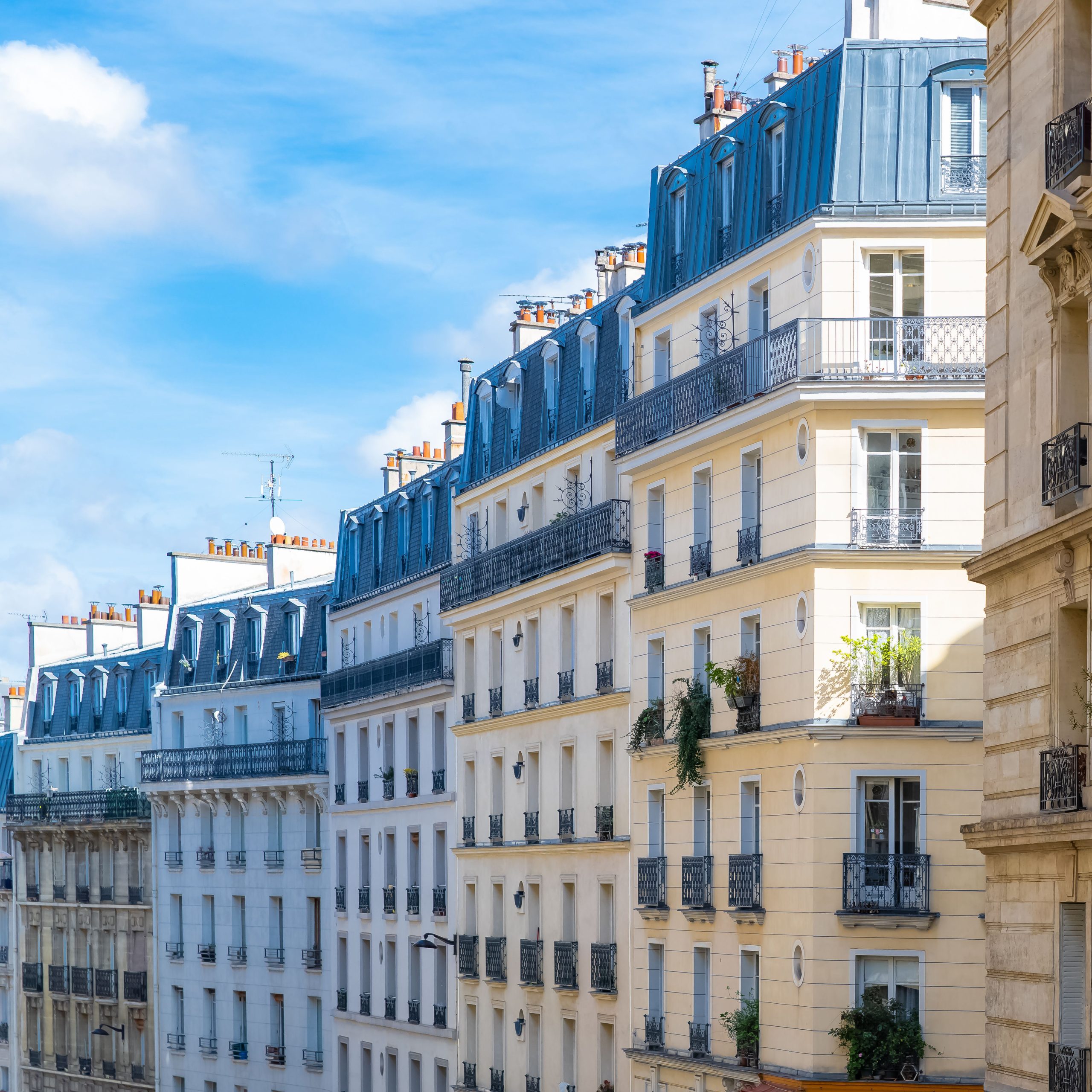 Adresse OKDOM Paris 11e, avenue de Bouvines
